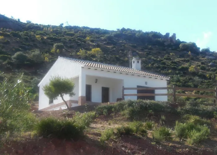 La Solana De Turon. El Pino