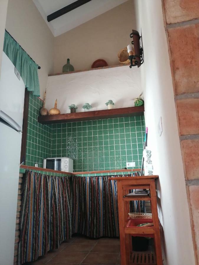 La Solana De Turon. El Pino *